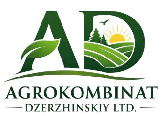 chatgpt image mar 4 2026 04 14 59 pm removebg preview