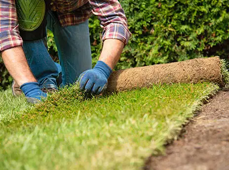 obrkgibgr0dne4ffeomq